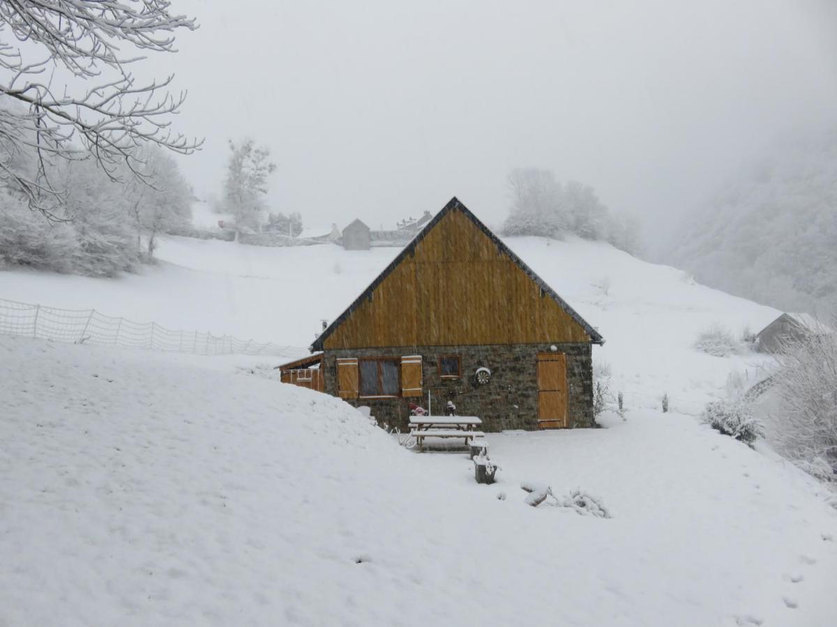 Le Bordarriben Sauna & Spa 4 Etoiles Gèdre Buitenkant foto
